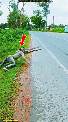 Everyone Thought It Was a Crocodile… Until the Animals Saw It! 😱🐊