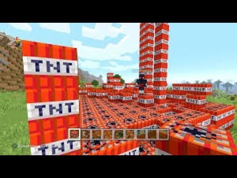 CuteKoala Tnt Experiment