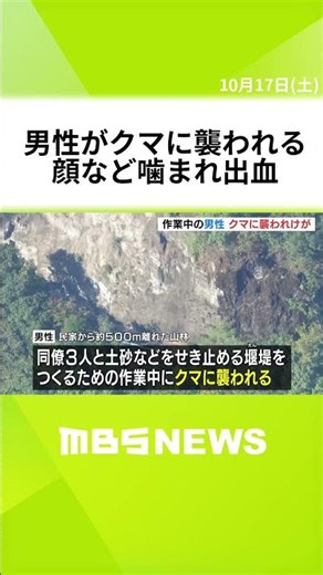 「作業中にクマに襲われた」60代男性が顔・両腕・太もも噛まれ出血 奈良・下北山村 #short