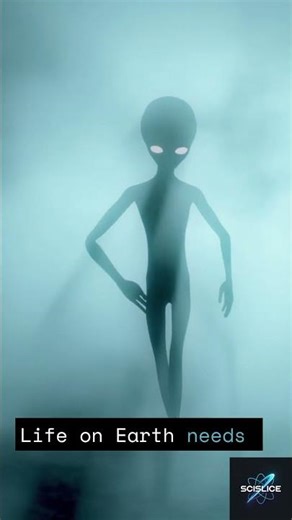 What If You Actually Encountered An Alien? 👽