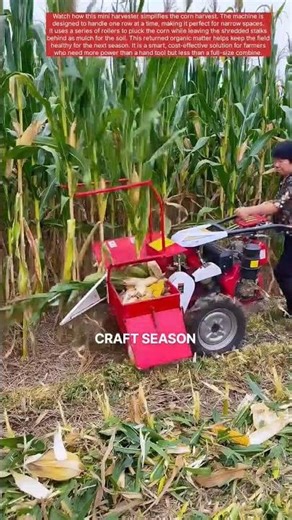 Efficient One-Row Corn Harvesting