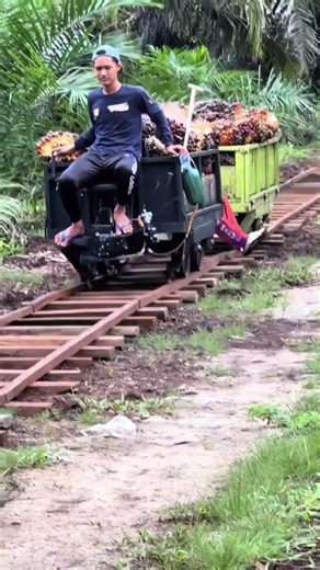 langsir sawit menggunakan rell kayu
