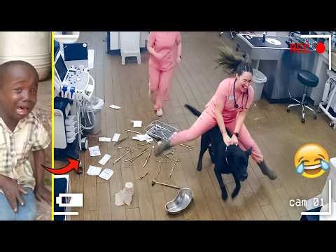 Crazy Funniest Videos Ever In The World! (try not to laugh 87)