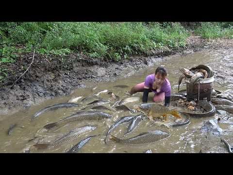 Fishing Techniques: How to Catch Big Fish, Proven Fishing Tips, Catch Many Big Fish In Mud Pond.