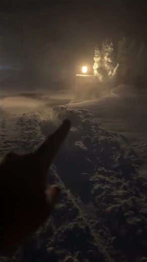 Poofesure's New Year