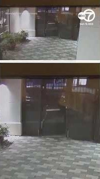 Chilling video shows man scale locked gate after chasing student home