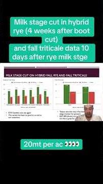 Silage of hybrid fall rye and fall triticale