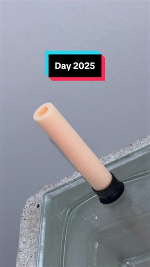 Immortal Nerf Dart Day 2025 — It Still Didn't Fall