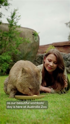 Happy International Wombat Day to our incredible Aussie icon species! 😍