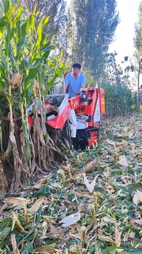 मक्का की फसल में से भुट्टे छिल कर अलग करने की मशीन #cron thresar machine #farming tools #short