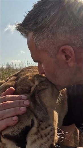 My Oldest Friend #lion #cat #shorts