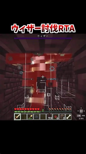 ウィザー討伐RTA #minecraft