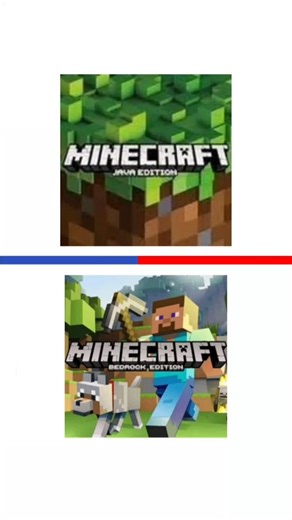 The difference between Minecraft java and Minecraft bedrock. #minecraft