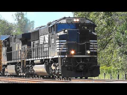 🐴 Lots of Trains on the NEC & in Shenandoah Junction, WV