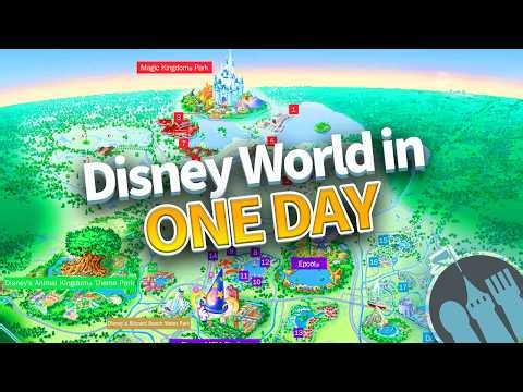 How to Do Disney World in ONE DAY