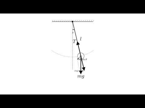 Simple Pendulum Physics Animation SHM Vector Diagram
