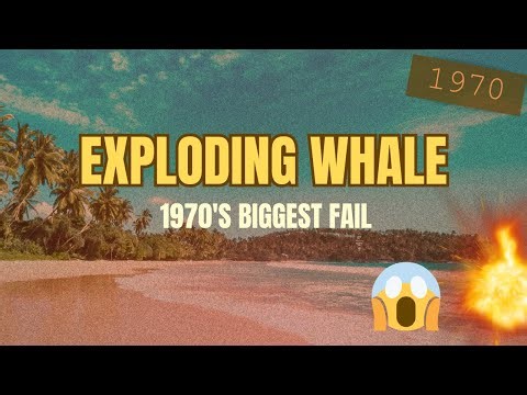 The Insane Story of the Exploding Whale