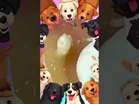 Blackheads Removal | Acne Treatment and Very Satisfying Satisfying Pimple pop #blackheads