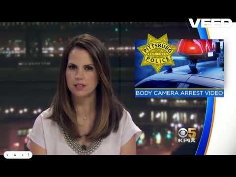 Police Excessive Use of Force- Police Process Assignment