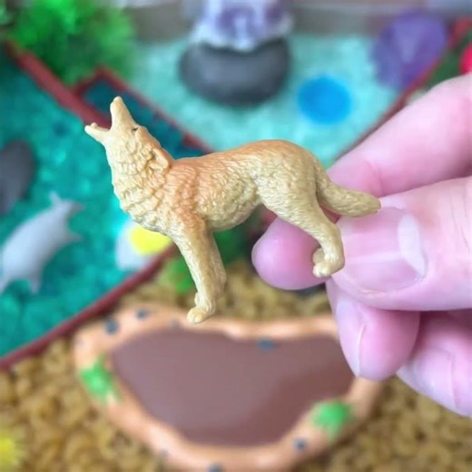 Desert Squad Show! Armadillo, Coyote, Lizard & Meerkat Quick Peek