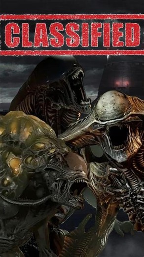 Fire Team Elite 2 New Xeno's Explained