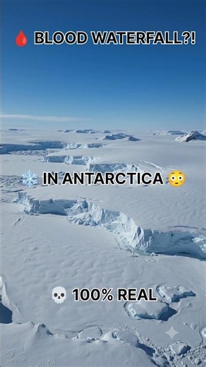 Why Antarctica Has a Blood Waterfall 😳