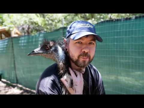 Jacksepticeye Visits Alveus Sanctuary