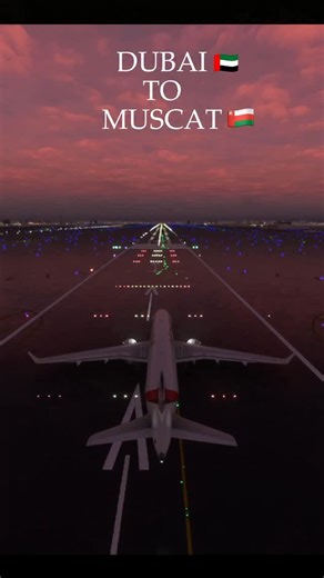 Captain MSFS on Instagram: "Dubai 🇦🇪 to Muscat 🇴🇲 #msfs #flight #plane #crash"