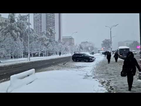 Moscow hit by unusually heavy late April snowstorm