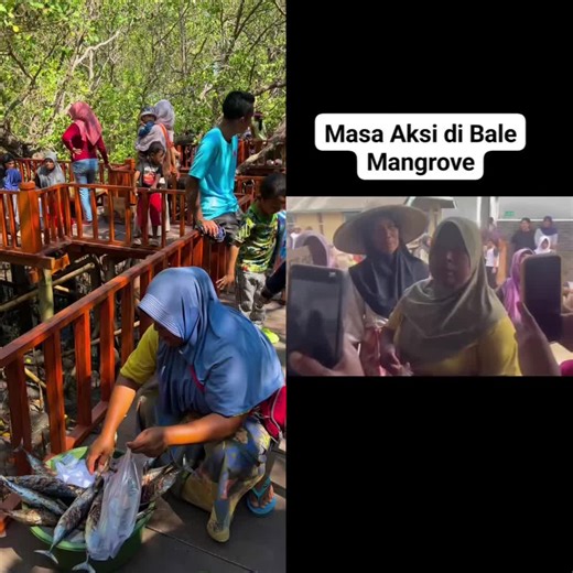 Ekowisata Bale Mangrove: Klarifikasi dan Bukti Terbaru