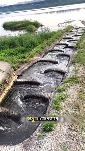 Why Is This Korean River Designed Like a Giant Fish Ladder? 🐟🌊#ytshorts #facts