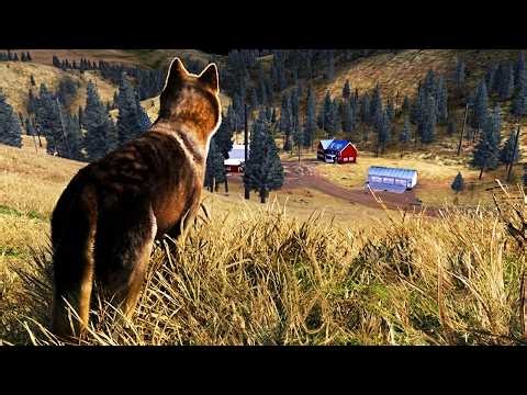 I Raised My Wolf Pack on ONLY Local Farm Livestock and It Was Genuinely IMPOSSIBLE!