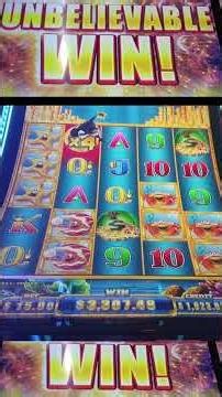 🚨🐳 COULD NOT BELIEVE THIS PAID SO MUCH! #slot #shorts