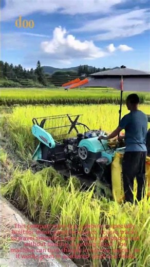 Small Rice Harvester Works Perfectly In Tiny Muddy Paddy Fields