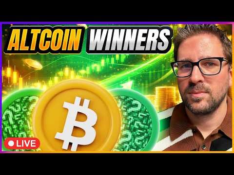 Top Crypto Altcoins to Trade