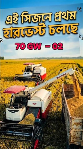 Testing our Second Harvester: The Beast Yanmar 70GW 🔥🚜