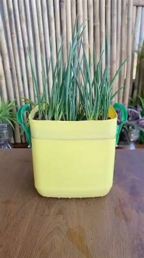 Transforming trash into treasure | Plastic Recycling Art