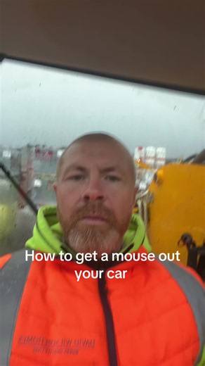 How to Get a Mouse Out of Your Car — Quick Practical Tips