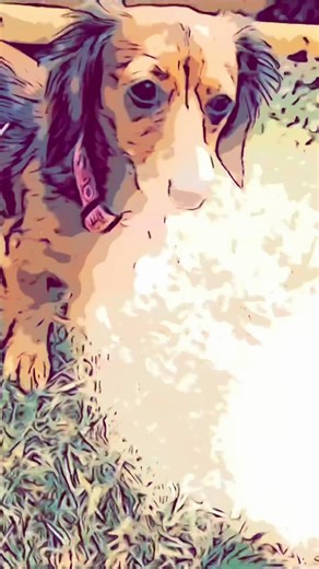 Full cartoon tomorrow gotta love it! #wrigleywednesdays #milliemondays