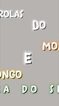 mongo e drongo