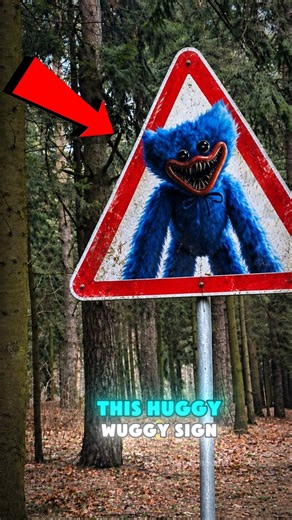 If You See This Huggy Wuggy Sign in the Forest, stay calm! 😨😌