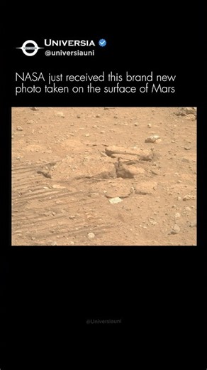 Brand New Photo Just Sent From Mars!