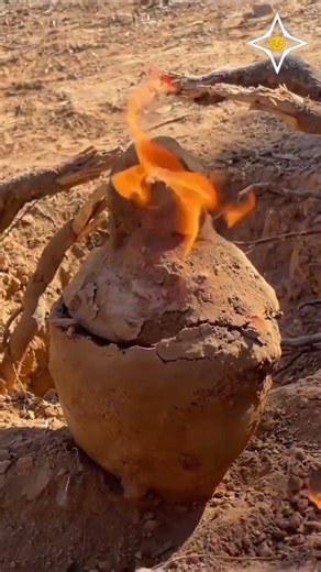 Hidden Treasure Hunt #gold #treasurehunt