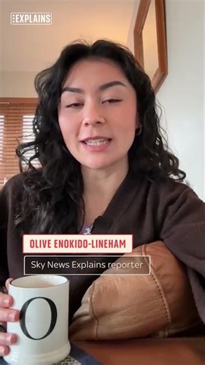 Meet Olive: Sky News' Explains Reporter