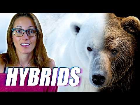 These Real Animal Hybrids Defy Everything We Thought We Knew