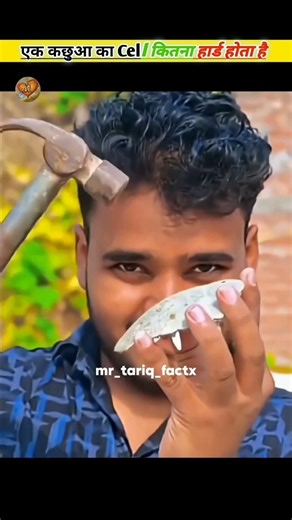 How Hard Is a Turtle’s Shell? 🐢 | Amazing Animal Facts