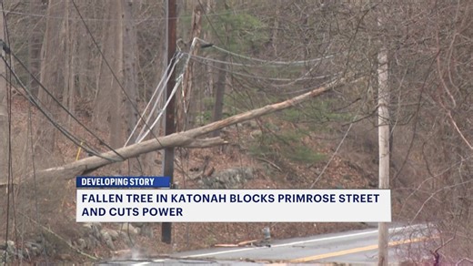 Fallen tree on power lines closes road in Katonah