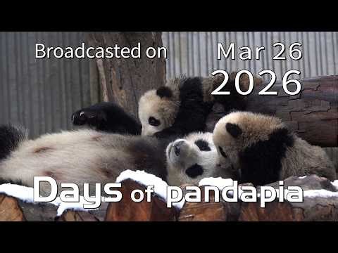 20260326 Broadcast Top Highlights 16