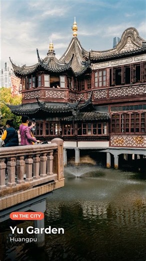 Don't Visit Shanghai Before Watching This #Shorts