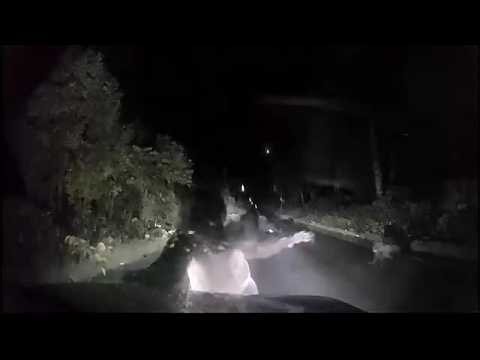 【ヒグマ速報】夜の山間部で突然襲われ車内で恐怖―走行中の道路に突然飛び出した2頭の親子のクマ_軽自動車を止めて警戒すると親グマが突進し体当たり…ボンネット損壊するも自走可能〈北海道美深町〉